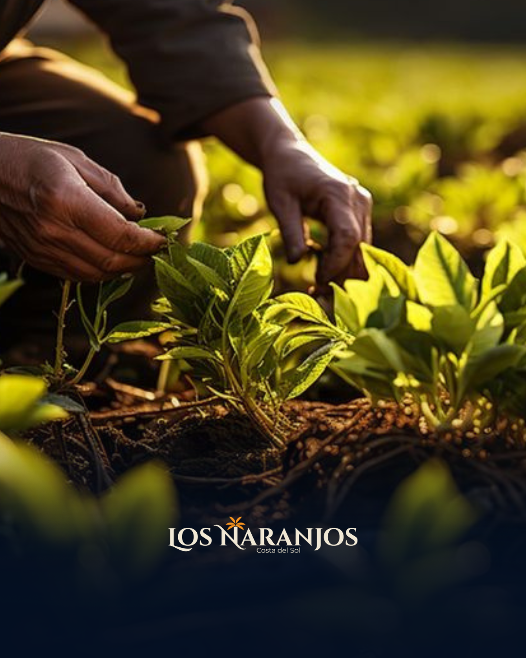 Los Naranjos, lotes residenciales en la costa del sol, el salvador.